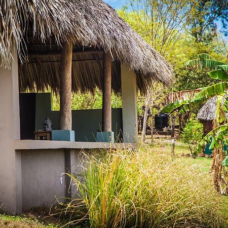 Coco Loco Eco-Resort Gemastepe Exteriör bild